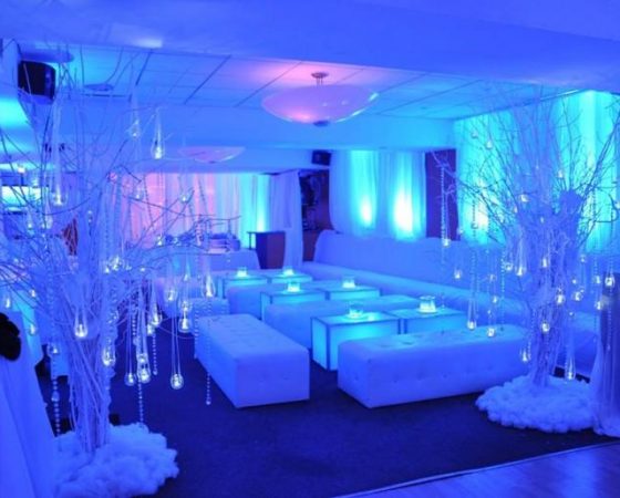 Winter Wonderland, 21st Birthday Party, Wirral